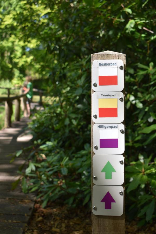 Vakantiepark De Witte Berg オーテマルスム エクステリア 写真